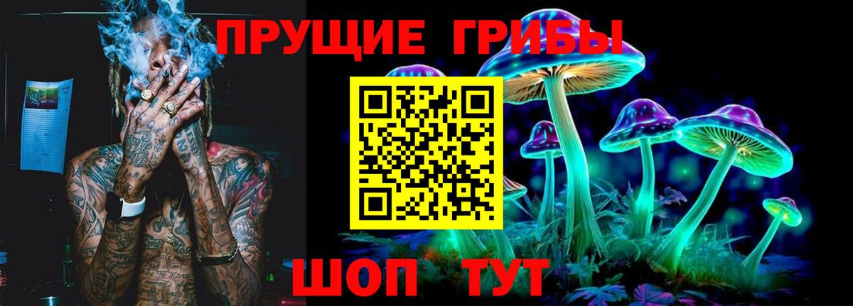 Псилоцибиновые грибы Psilocybine cubensis  Вход с VPN  Керчь 