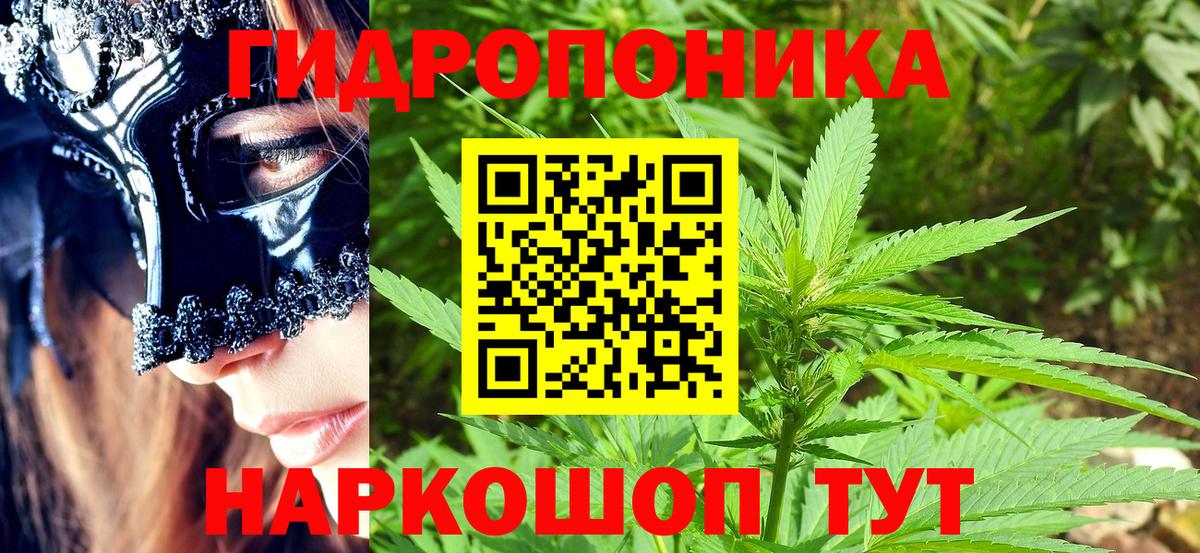 Бошки марихуана AK-47  Каннабис планчик  Бошки марихуана Bruce Banner  Керчь  Вход с VPN 